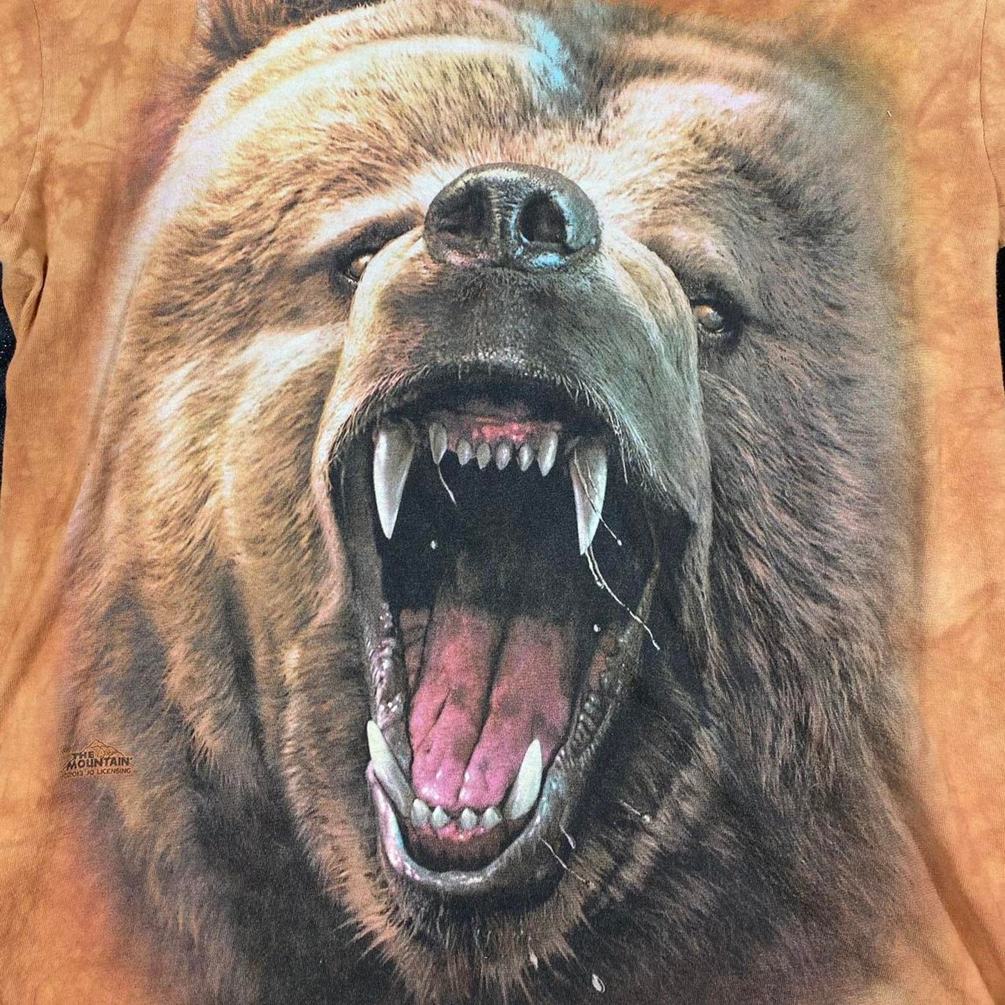 Brown Bear Tie Dye The Mountain Nature Mens Size Large Short Sleeve T-Shirt